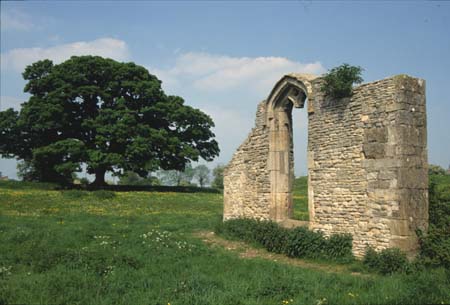 The standing wall of the Fermor manor house in a field